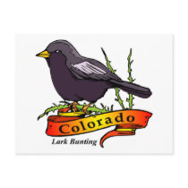 Colorado Lark Bunting Post Cards
