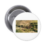 colorado Mountains Pins