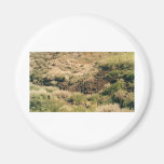 colorado Mountains Refrigerator Magnet