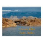 Colorado River,Grand Junction Postcard