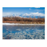 Colorado River in Winter Post Cards
