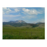 Colorado Rockies Postcard