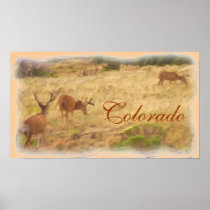 Colorado scenic deer poster