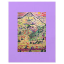 colorado  village custom flyer