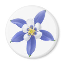 Colorado Wild Columbine Magnet