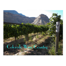 Colorado Wine Country Postcards