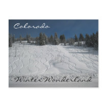 Colorado winter wonderland postcard