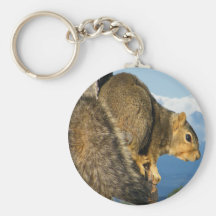 Colorado's life key chains
