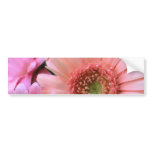 Colorful Daisies Bumper Sticker