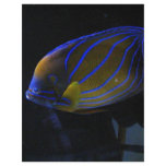 Colorful Fish Custom Flyer