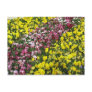 Colorful Garden Postcard