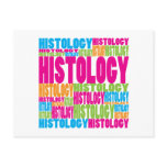 Colorful Histology Postcard