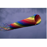 Colorful Huge and colorful windsock Acrylic Cut Outs