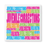 Colorful Juvenile Corrections Magnets