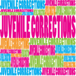 Colorful Juvenile Corrections Acrylic Cut Outs