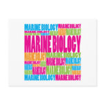 Colorful Marine Biology Post Card