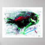 Colorful Negative Image of a Dried fish Posters