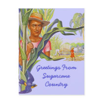 COLORFUL PROMO TRAVEL SUGARCANE HARVEST POSTCARD