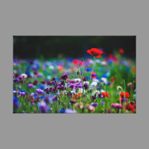 Colorful Spring Wildflowers canvas print canvas prints