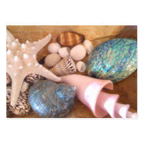 colorfull multiple sea shell arrangement business cards