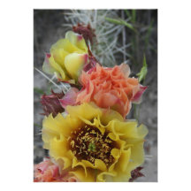 colorfull plains prickle pear flowers in pink and personalized invitations