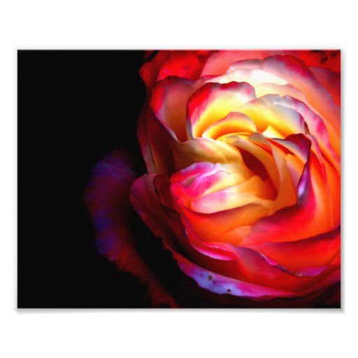 Colori Brillanti Photographic Print