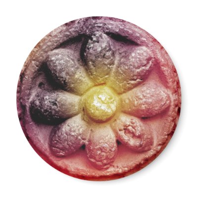 colorized flower refrigerator magnets by DonnaGrayson_Photos