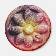 colorized flower refrigerator magnets