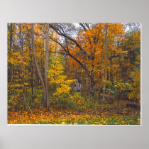 Colossal Breezy Autumn Print