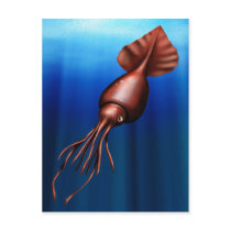 Colossal Squid Postcards