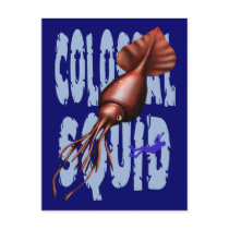 Colossal Squid Postcards