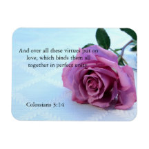 Colossians 3:14 scripture rose magnet