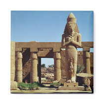 Colossus of Ramesses II: standing statue of magnets