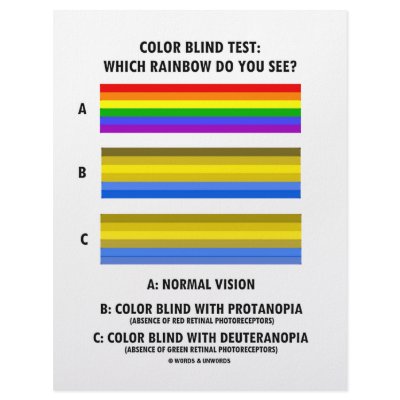 Colour Blind Test (Colours Of Rainbow Vision Test) by wordsunwords