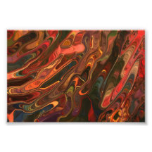 Colour Burst Photo