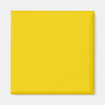 Colour Code It Visual Identifiers Adaptive Living Refrigerator Magnet