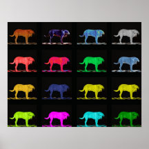 Colour Dogs Poster