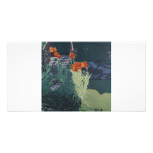 Colour fine art illustrated photocard. custom photo card