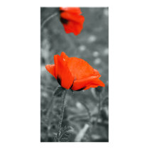 Colour key Poppy Photo Card