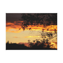 Colour of Life Stretched Canvas Print