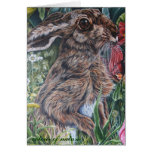colour of nature cards