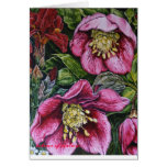, colour of nature greeting card
