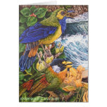 COLOUR OF NATURE CARDS