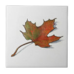 Colour Pencil Drawing of Maple Leaf in Autumn Ceramic Tile