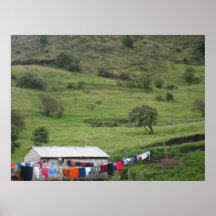 Colour Your Life Posters