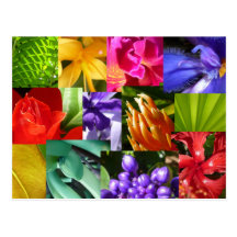Colour Your World Post Card