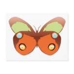 coloured butterfly