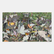 Coloured Leaves Stickers