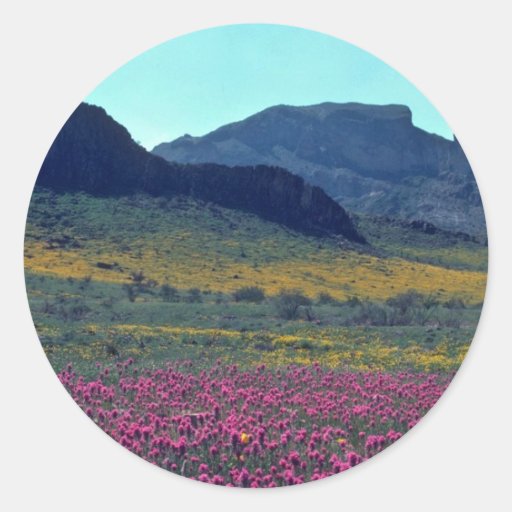 Coloured Slopes Stickers