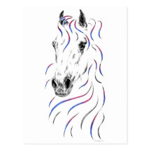 Colourful Arabian Horse Head Postcard